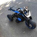 Tobbi 12V Electric Ride On Motorcycle, Battery Powered Ride On Toy Car, Blue, Ostrich Series, Darwin’s Rhea photo review