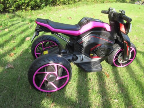 Tobbi 12V Battery Powered Kids Motorcycle with 3 Wheels for Boys and Girls, Rose Red, Ostrich Series, Common Ostrich photo review