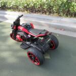 Tobbi 12V Kids Motorcycle Toy 3 Wheels Electric Trike, Ostrich Series, Greater Rhea photo review