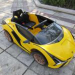 Tobbi Licensed Lamborghini Sian Car Toy w/ Scissor Door photo review