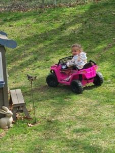 12V Kids Ride on Car Toy Electric Off-Road UTV Truck Battery Powered, Rose Red, Squirrel-Red Squirrel photo review